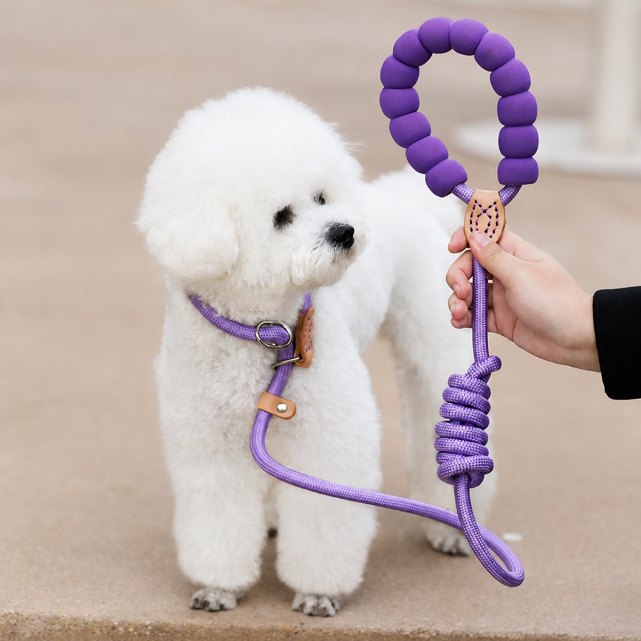 How to Make Everyday Dog Walks More Comfortable and Controlled