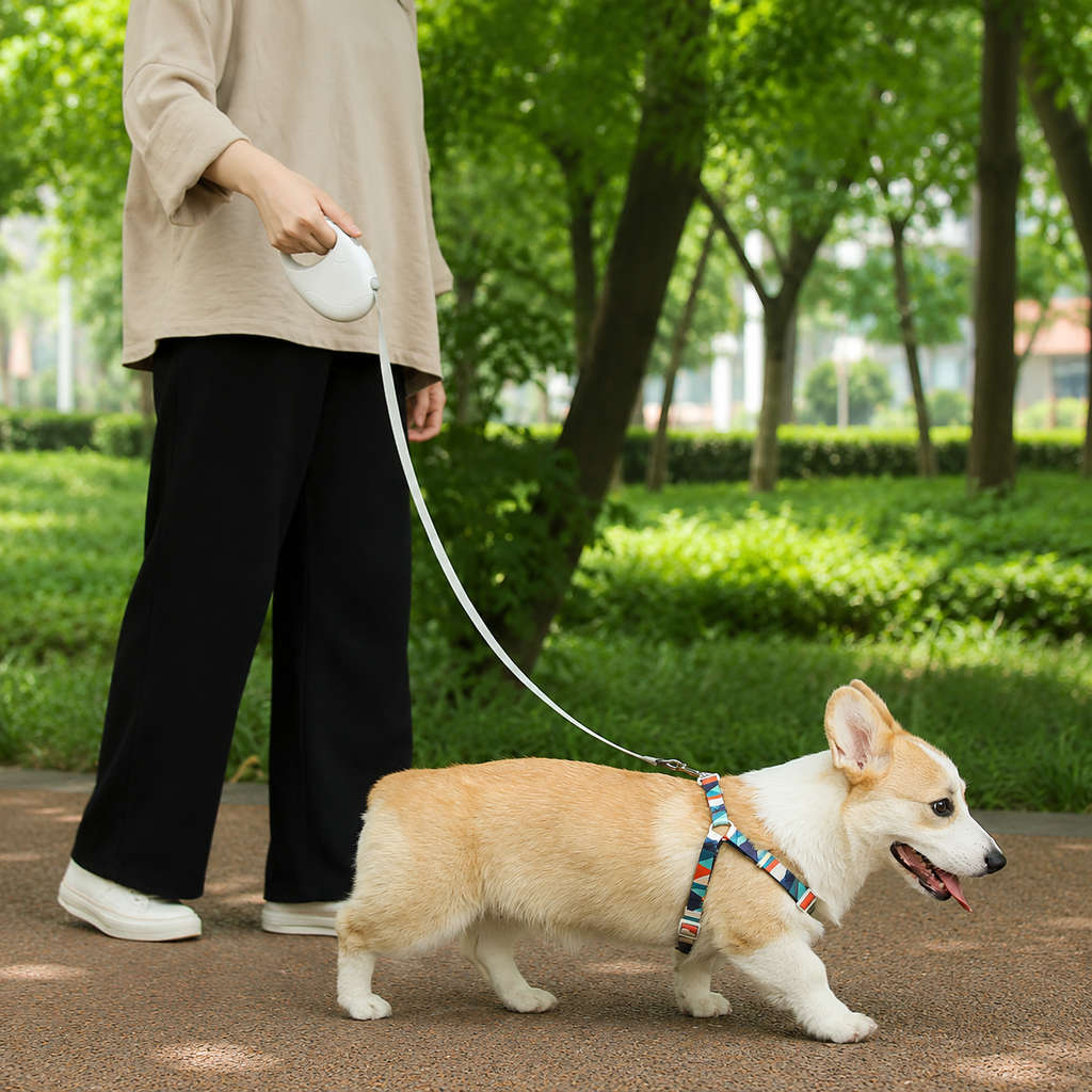 Gray-Blue 8.9-Ft Retractable Leash with Hand Grip