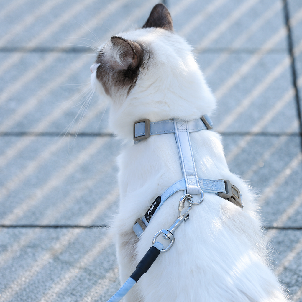 Adjustable Small Cat Harness Set in Haze Blue