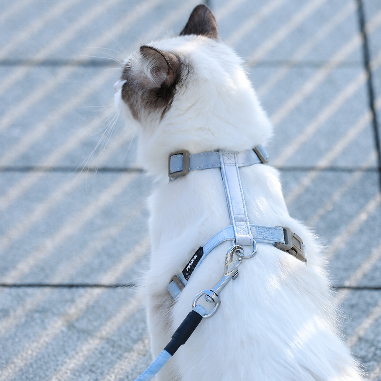 Adjustable Small Cat Harness Set in Haze Blue
