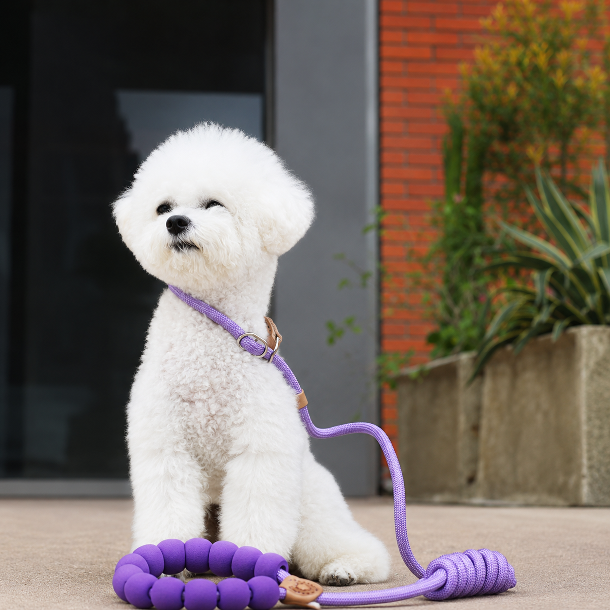 Lavender 59-Inch Dog Slip Lead, 0.31-Inch Rope