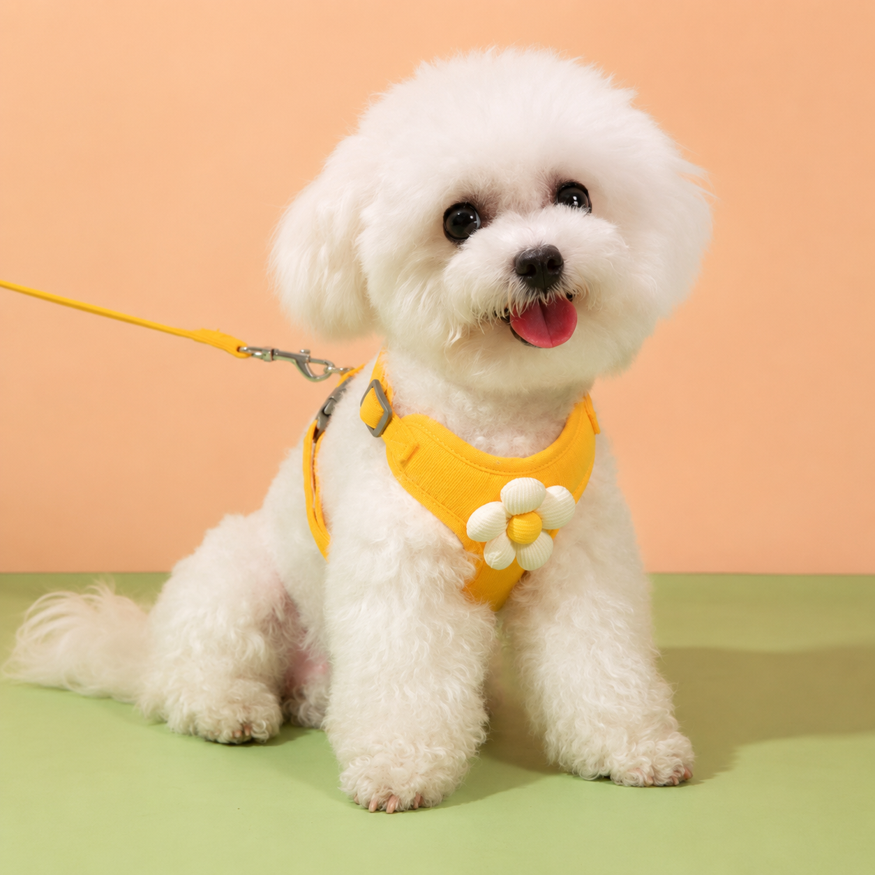 Yellow Vest Harness Set for Small Pets