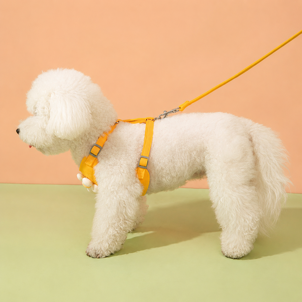 Yellow Vest Harness Set for Small Pets