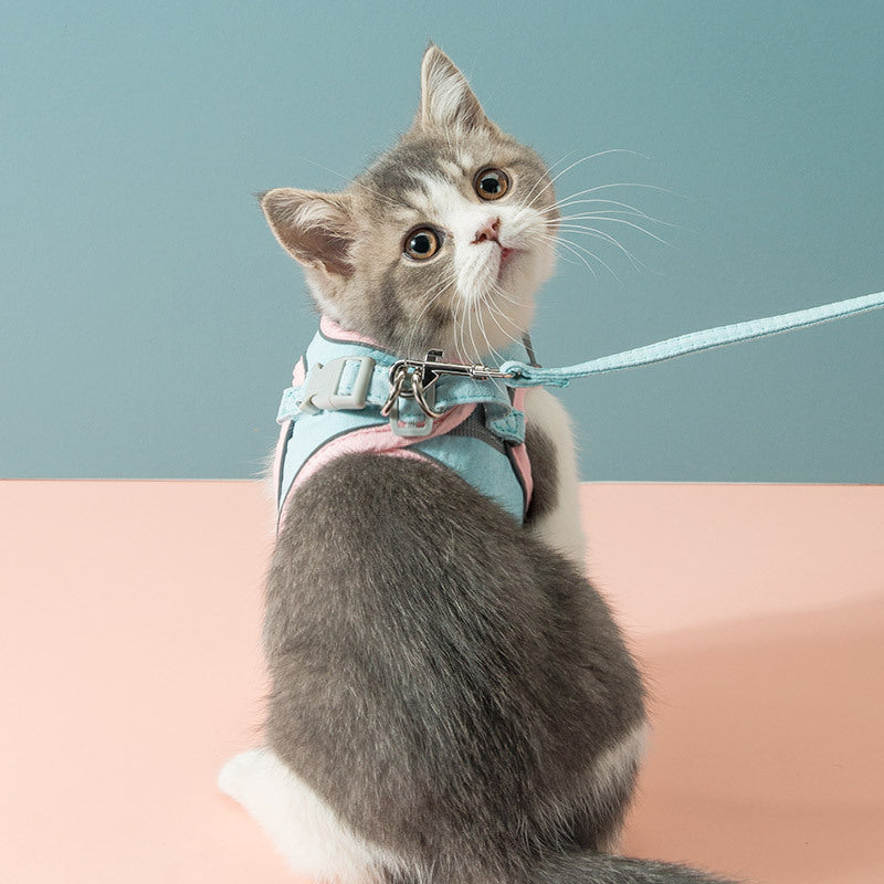 Size M Small Pet Harness and Leash Set in Blue